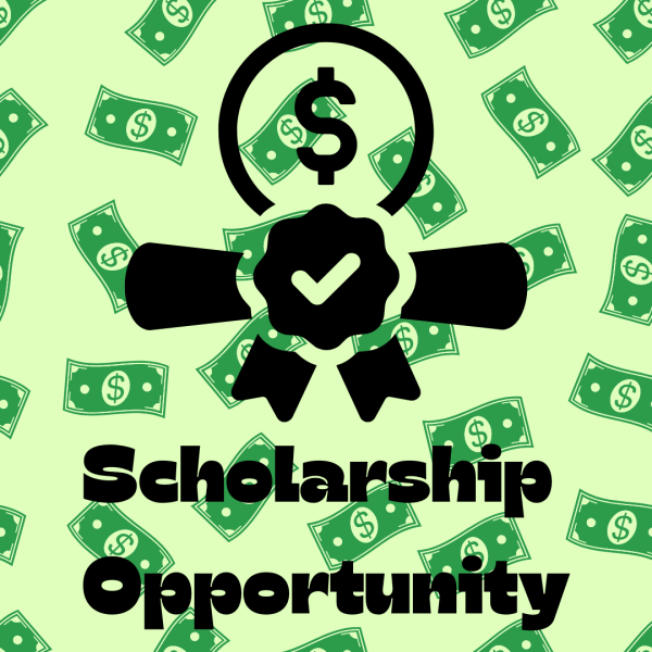 Money Scholarship Icon 